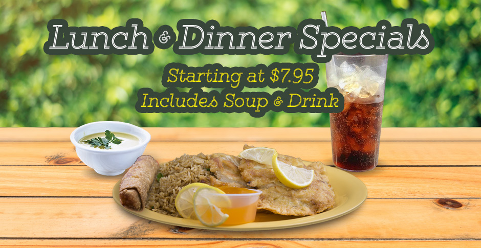 Lunch and Dinner Specials at Wok Inn